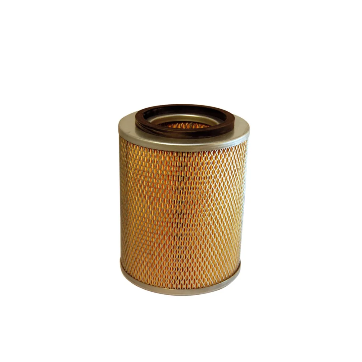 AM444/1 Filtron