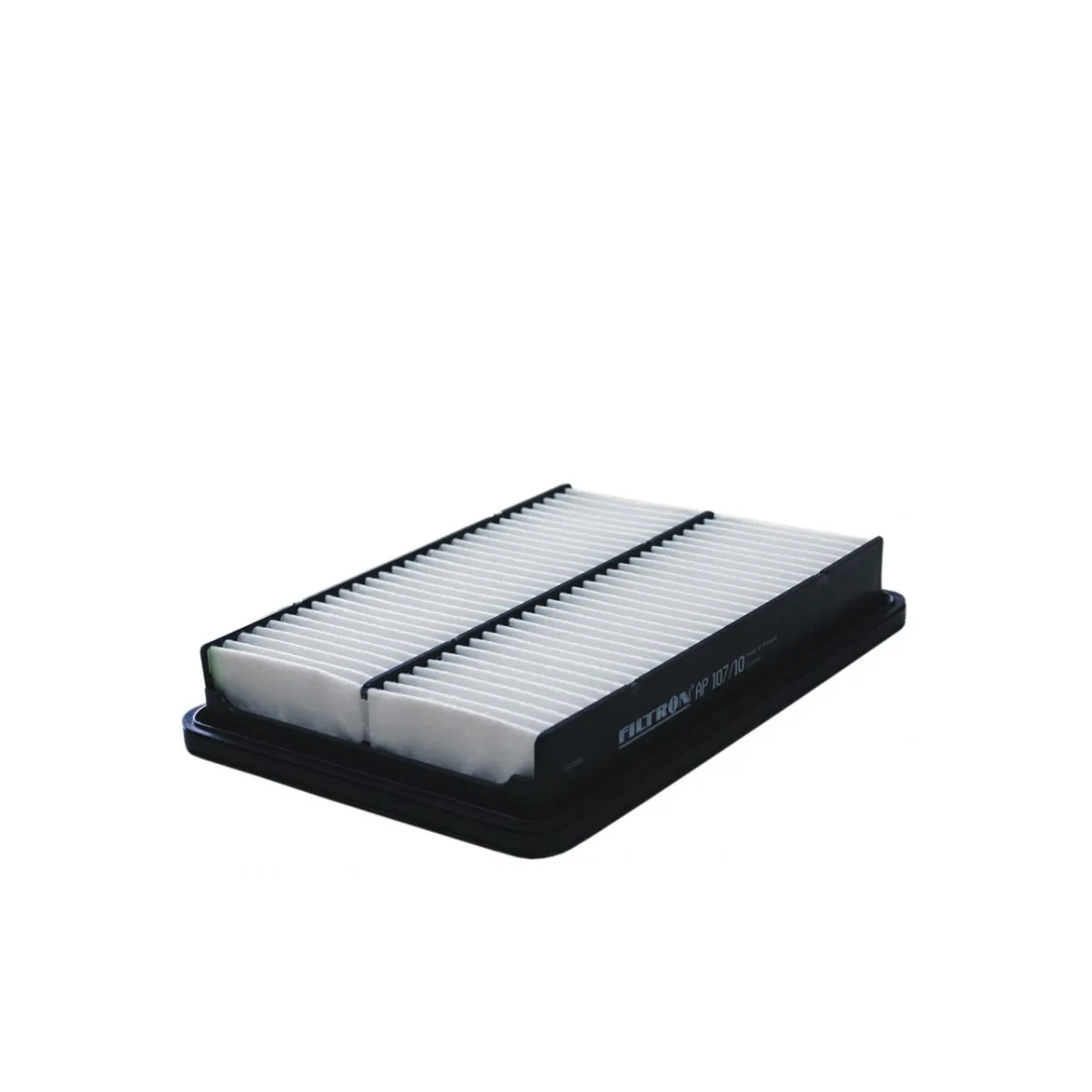 AP107/10 Filtron