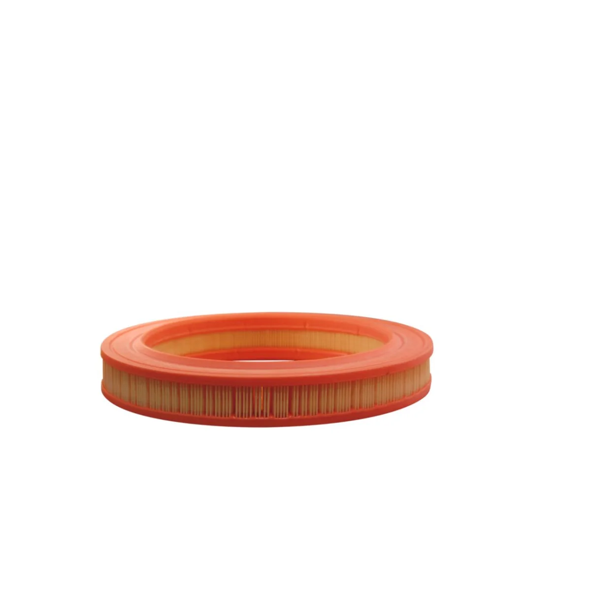 AR204/1 Filtron