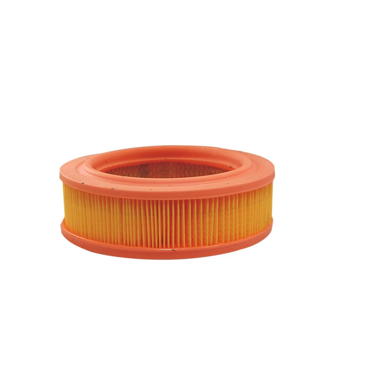 AR219 Filtron
