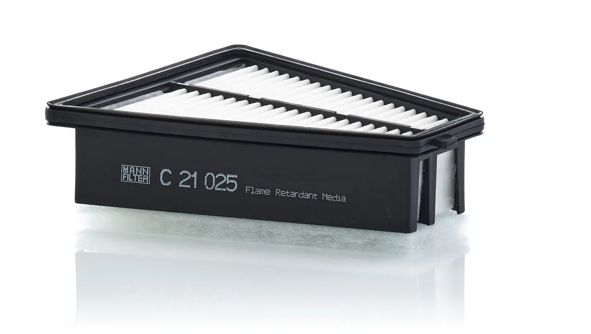C21025 Mann Filter