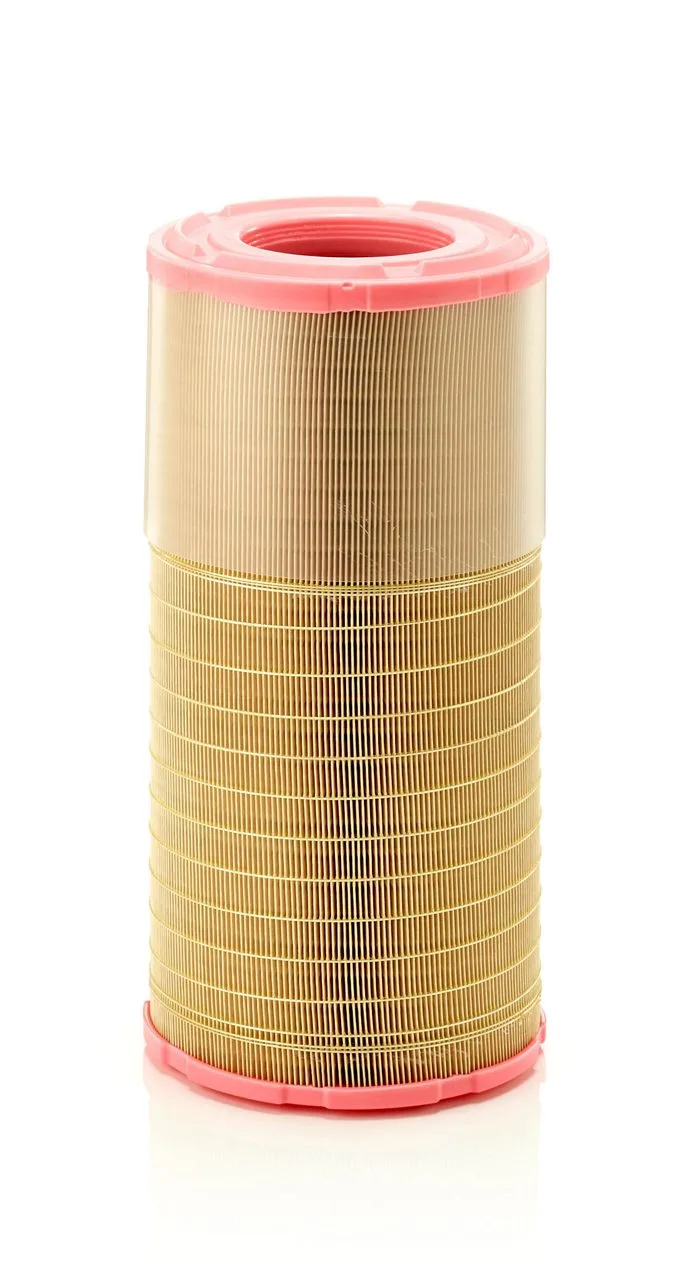 C21630/3 Mann Filter