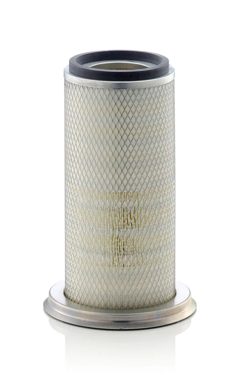C22025 Mann Filter