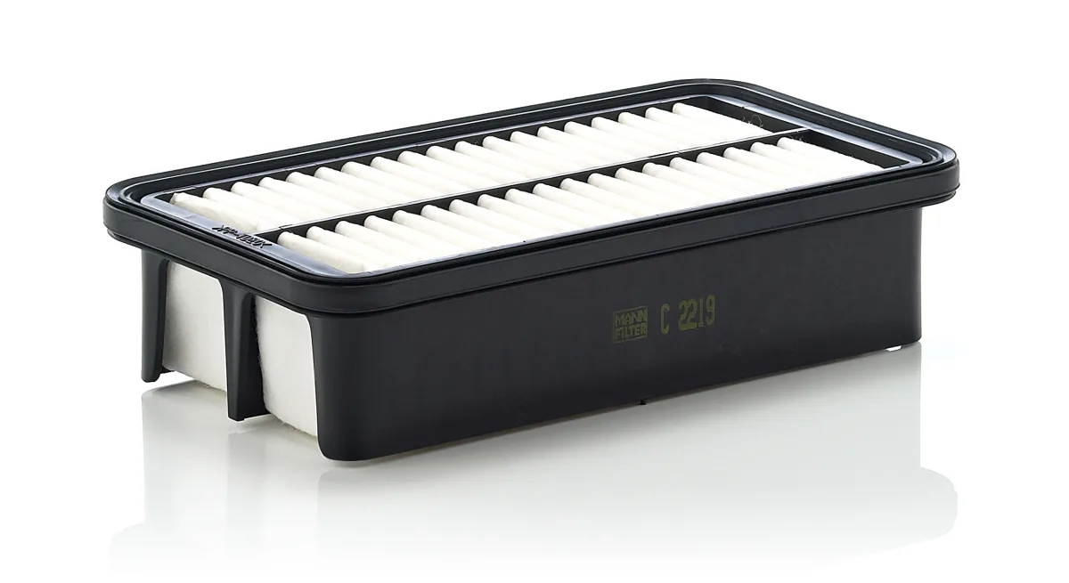 C2219 Mann Filter