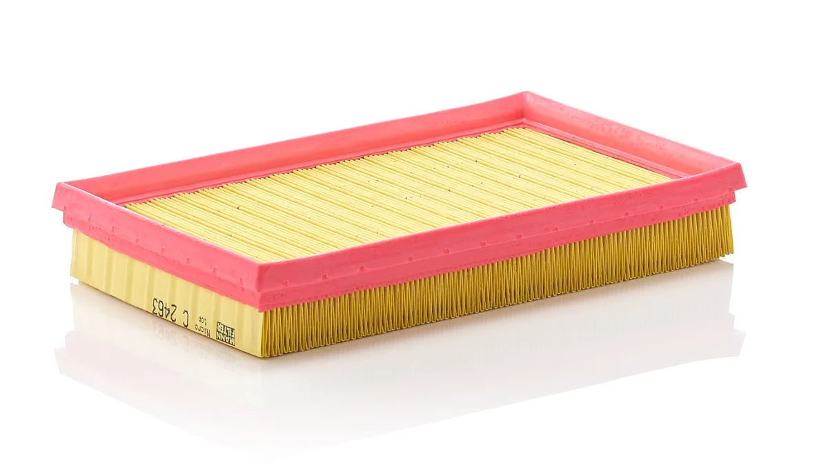 C2463 Mann Filter