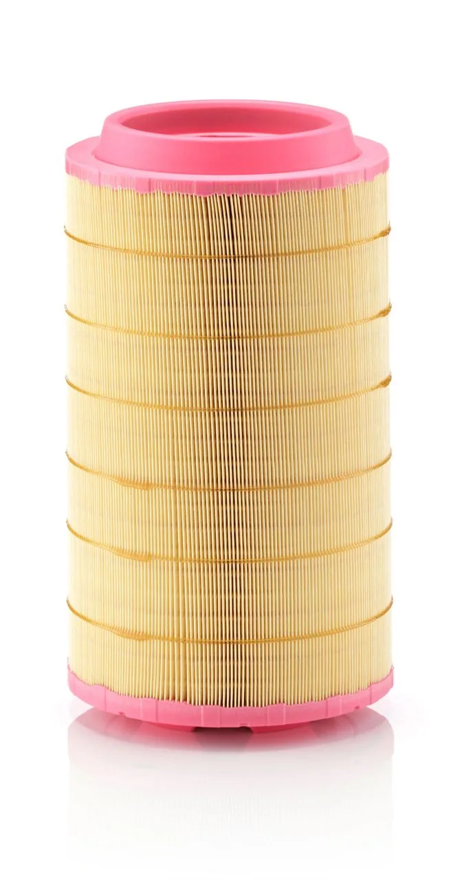 C24745/2 Mann Filter