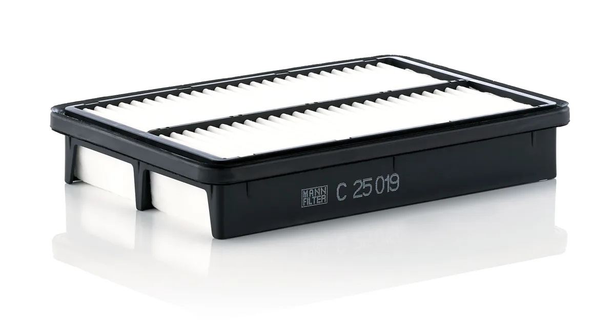 C25019 Mann Filter