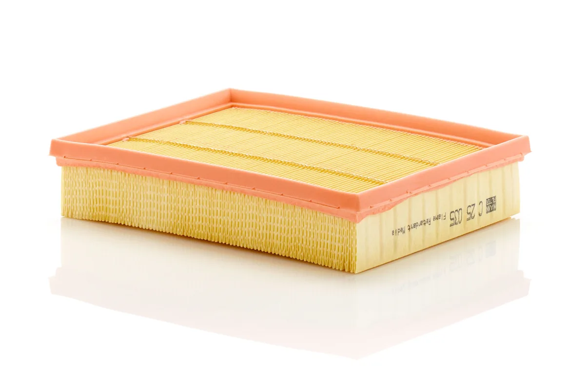 C25035 Mann Filter