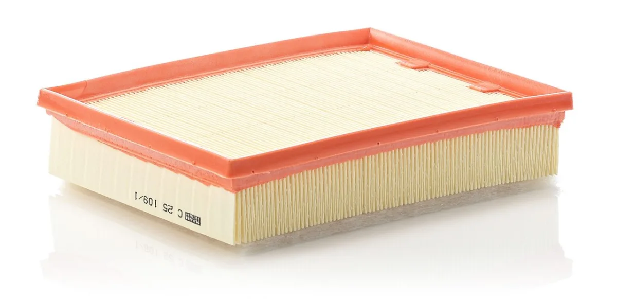 C25109/1 Mann Filter