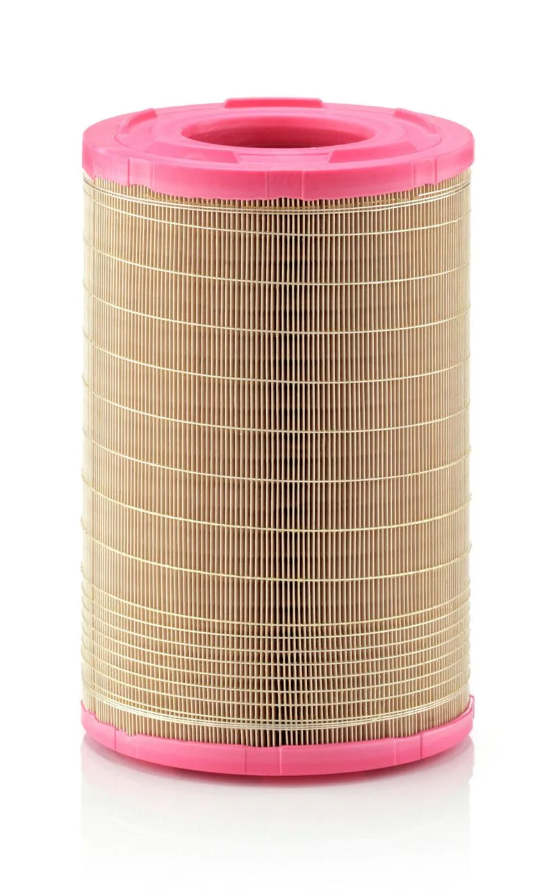 C25730/1 Mann Filter