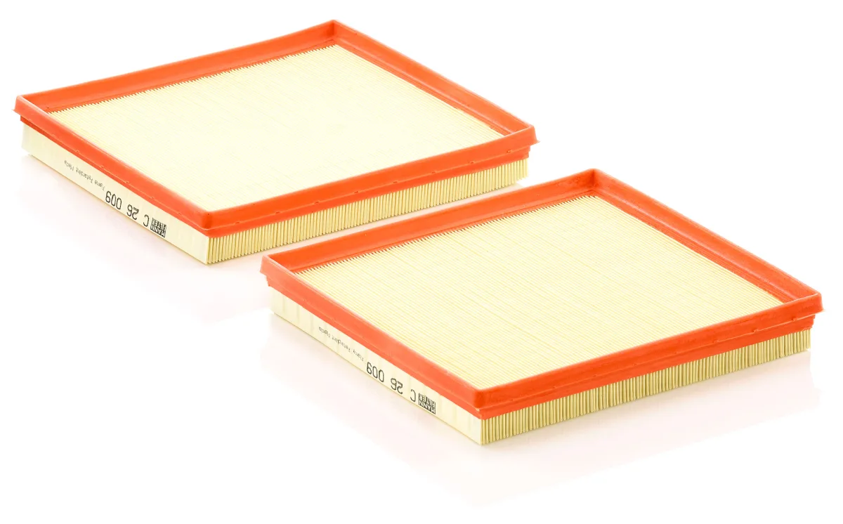 C26009-2 Mann Filter