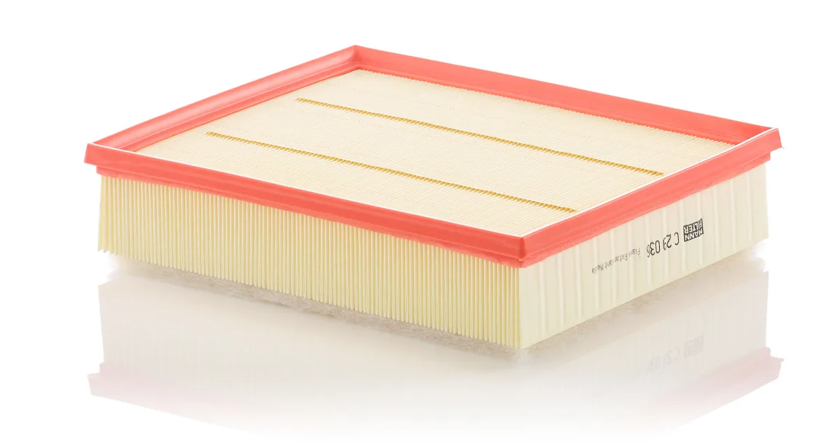 C29036 Mann Filter