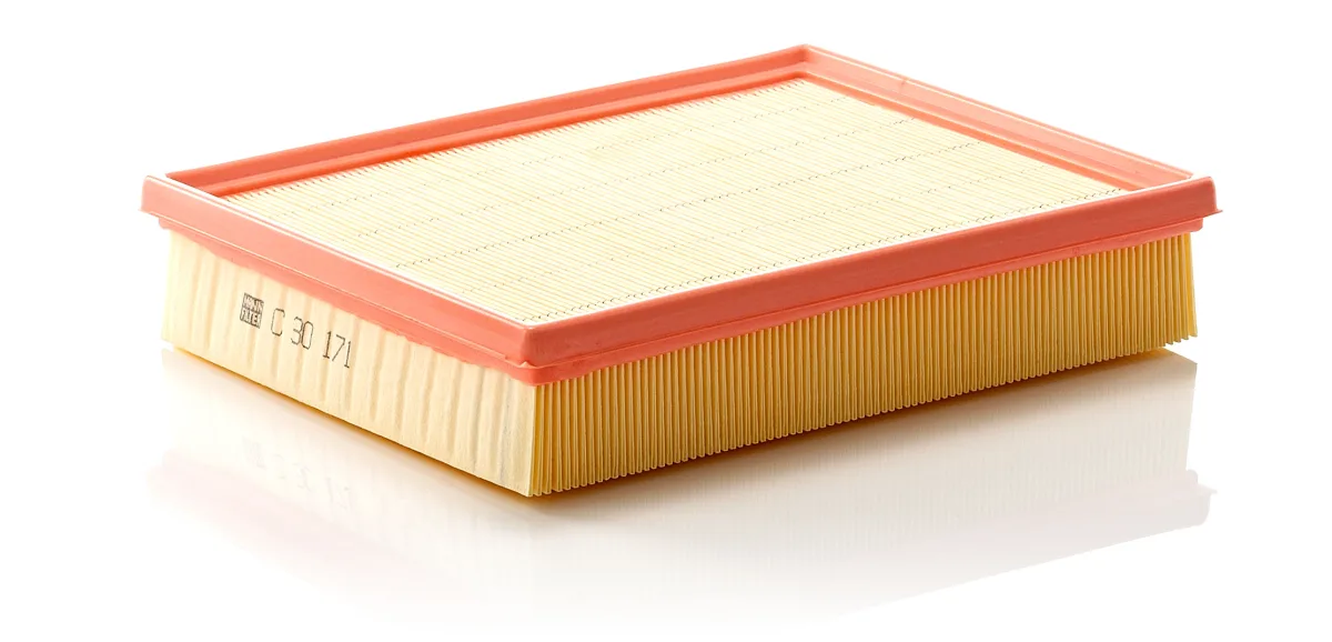 C30171 Mann Filter