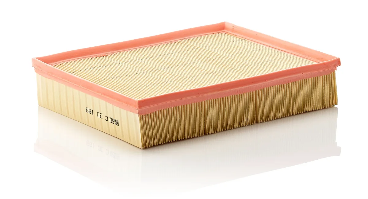 C30198 Mann Filter