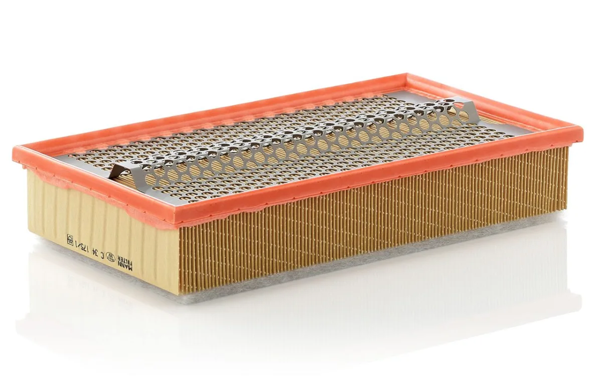 C34175/1 Mann Filter