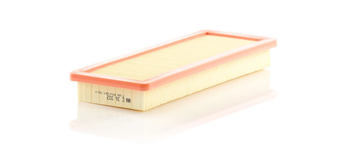 C36002 Mann Filter