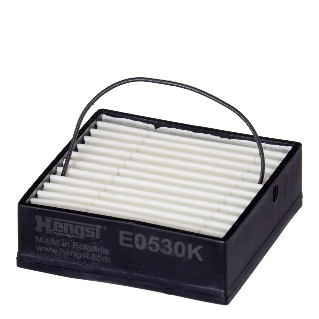 E0530K Hengst