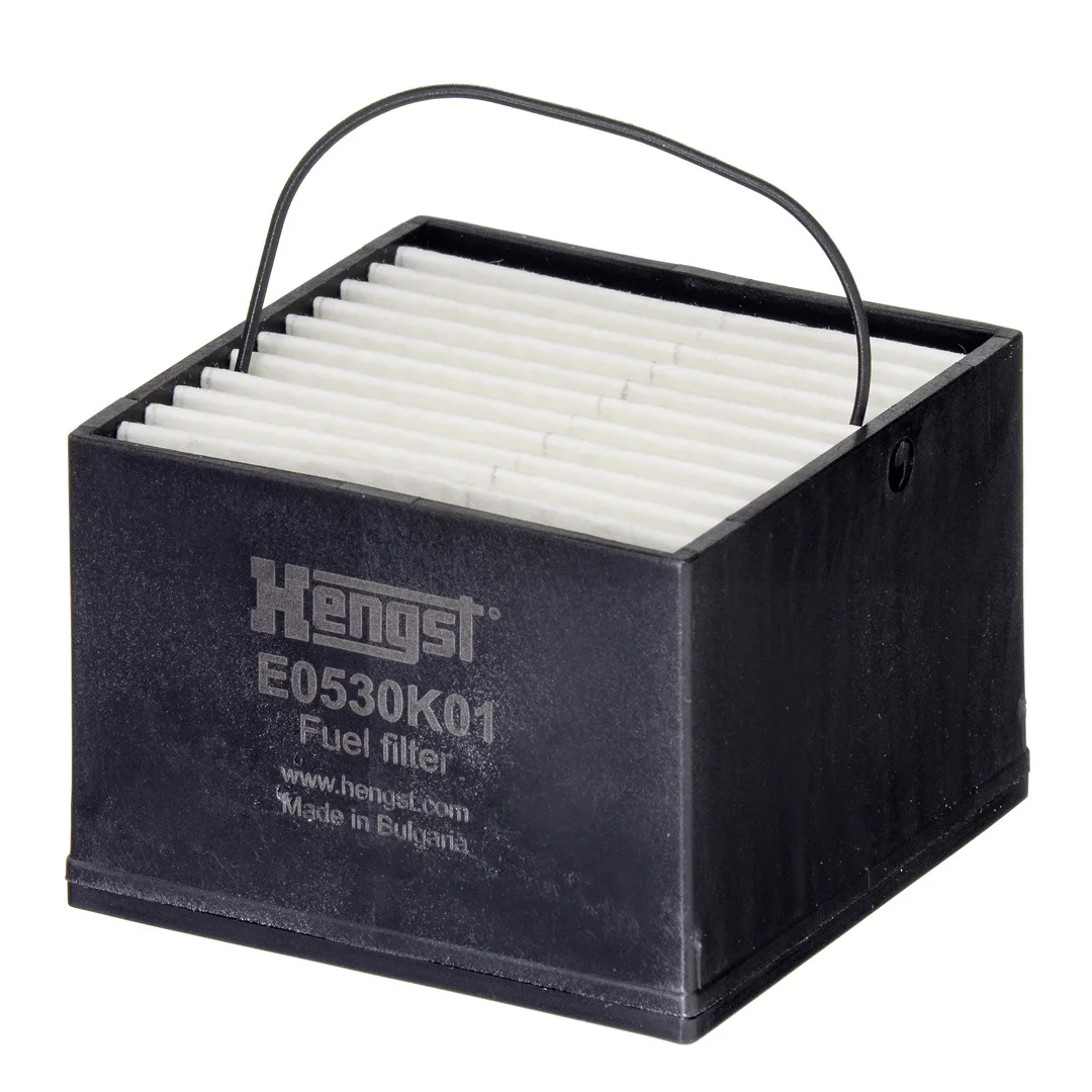 E0530K01 Hengst