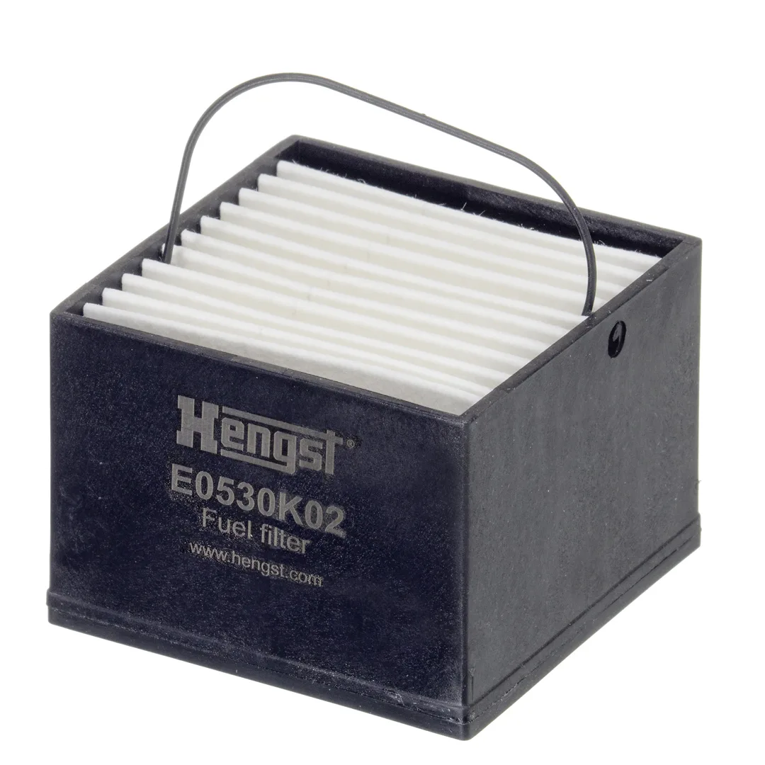 E0530K02 Hengst
