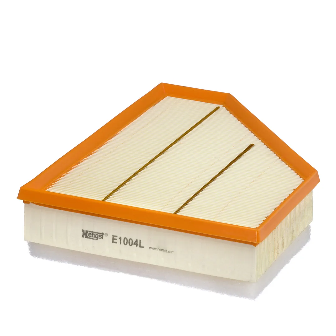 E1004L Hengst