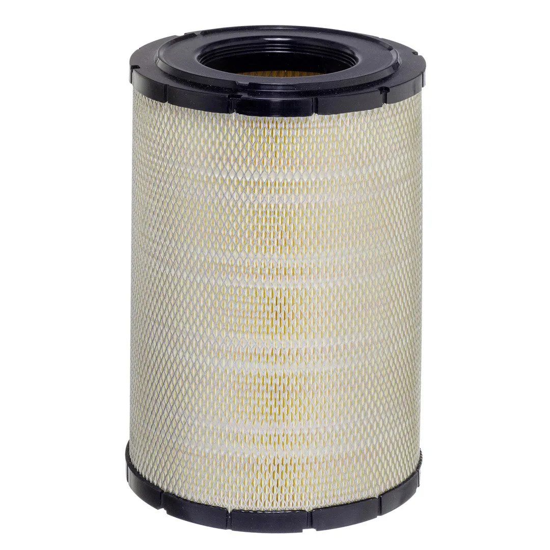 E1008L01 Hengst