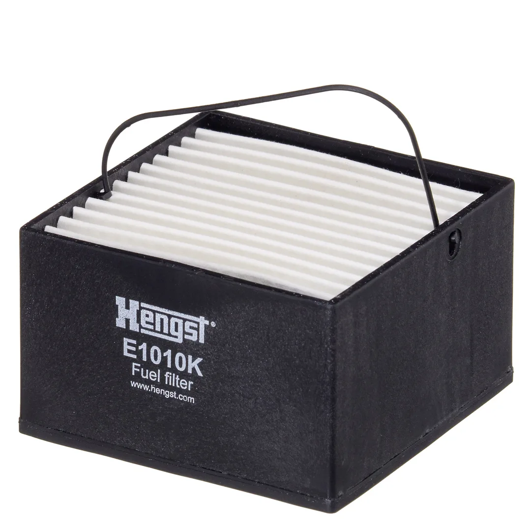 E1010K Hengst