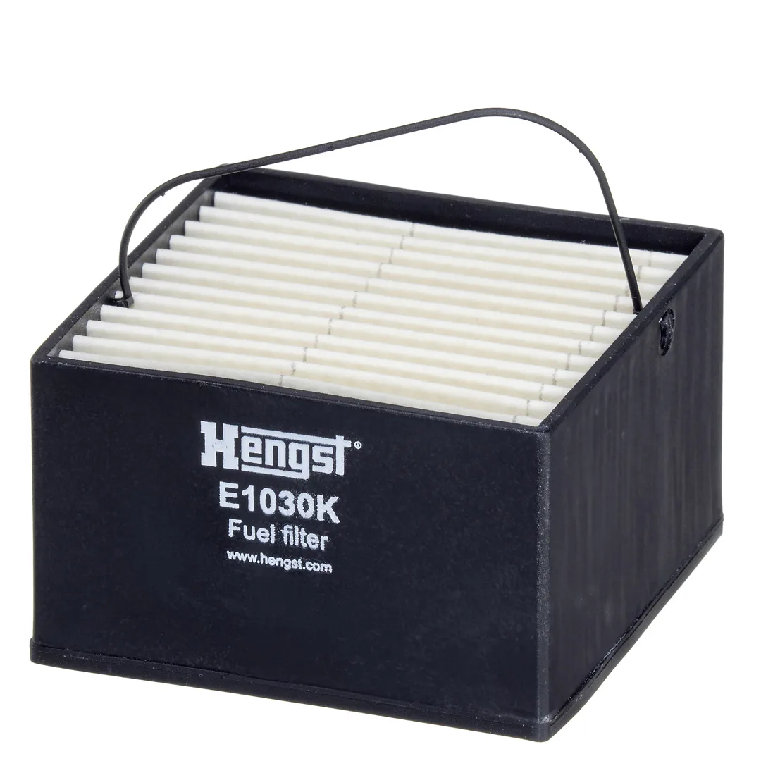 E1030K Hengst