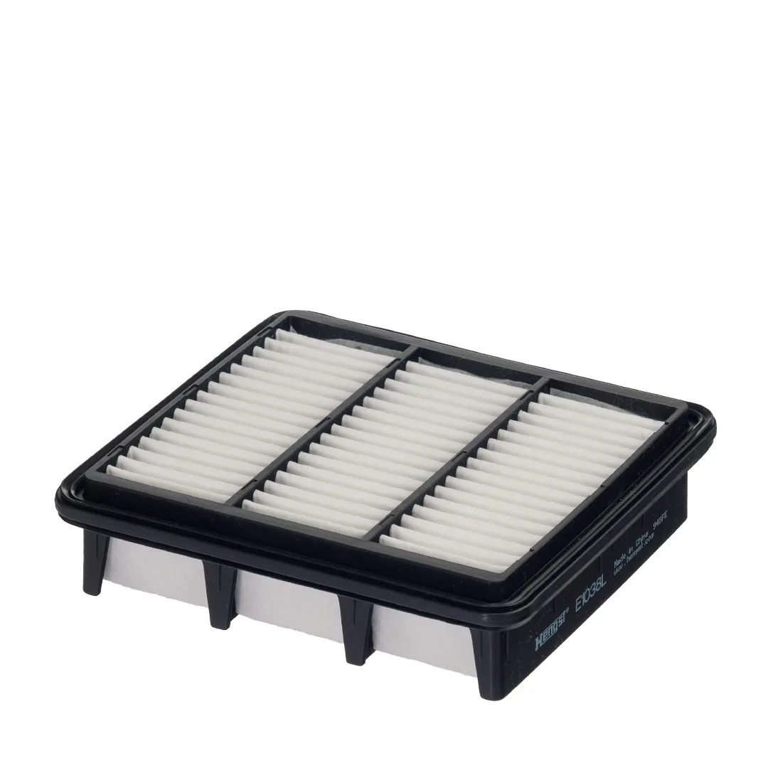 E1038L Hengst