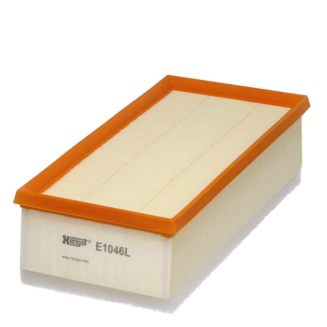 E1046L Hengst