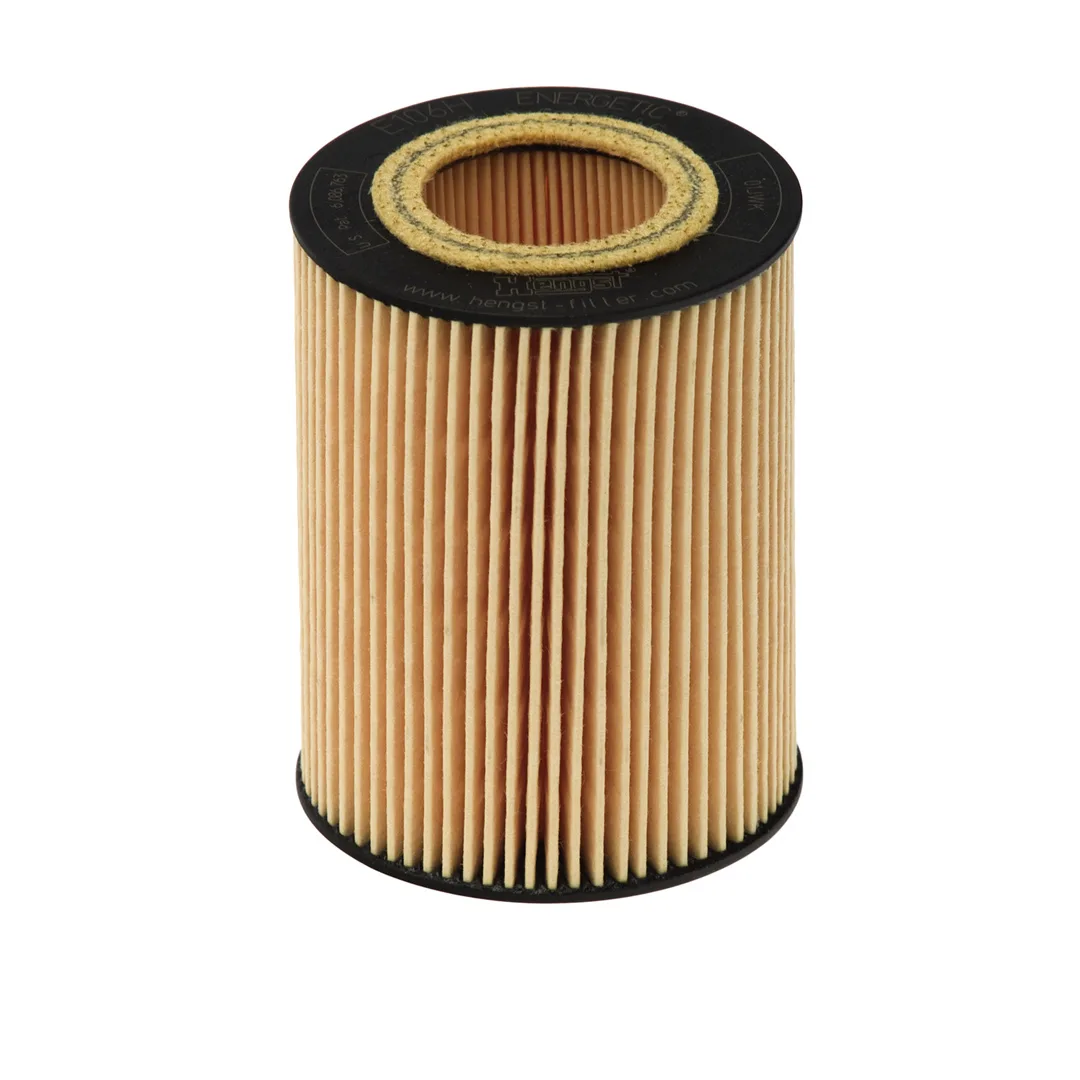 E106HD171 Hengst