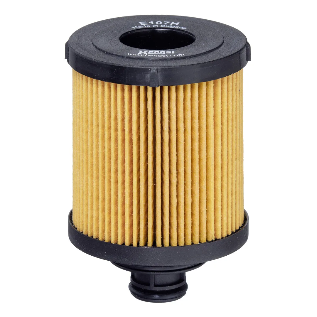 E107HD166 Hengst