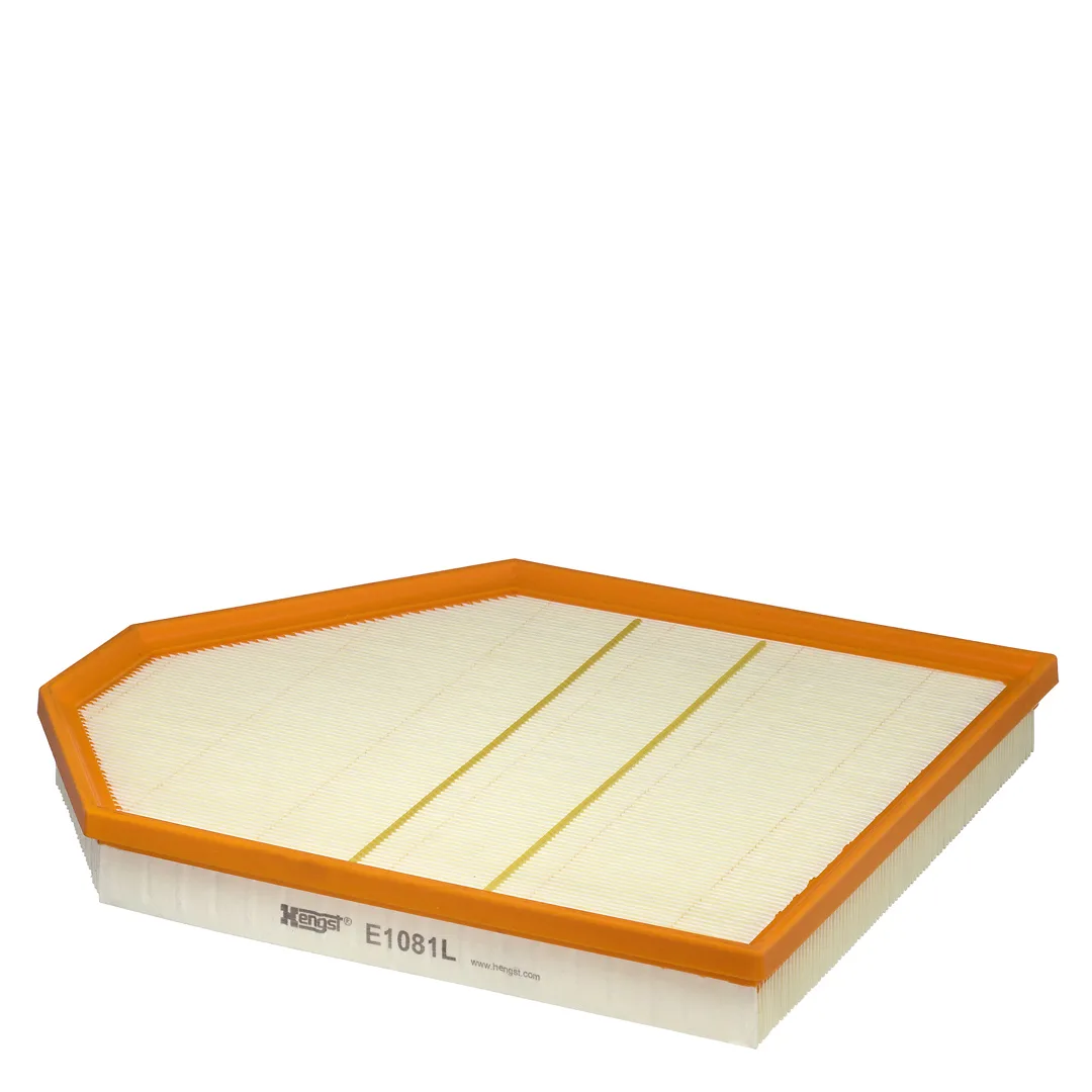 E1081L Hengst