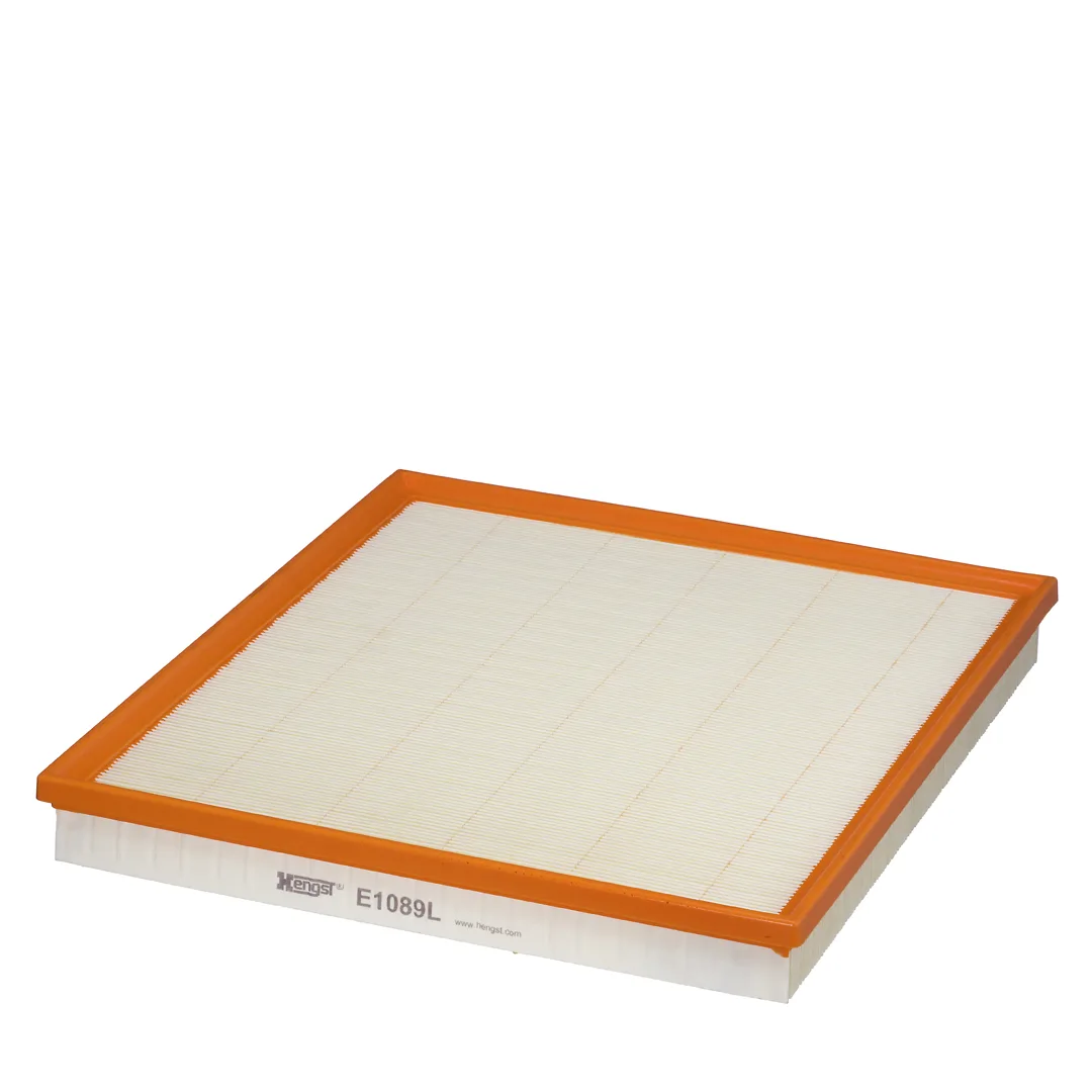 E1089L Hengst