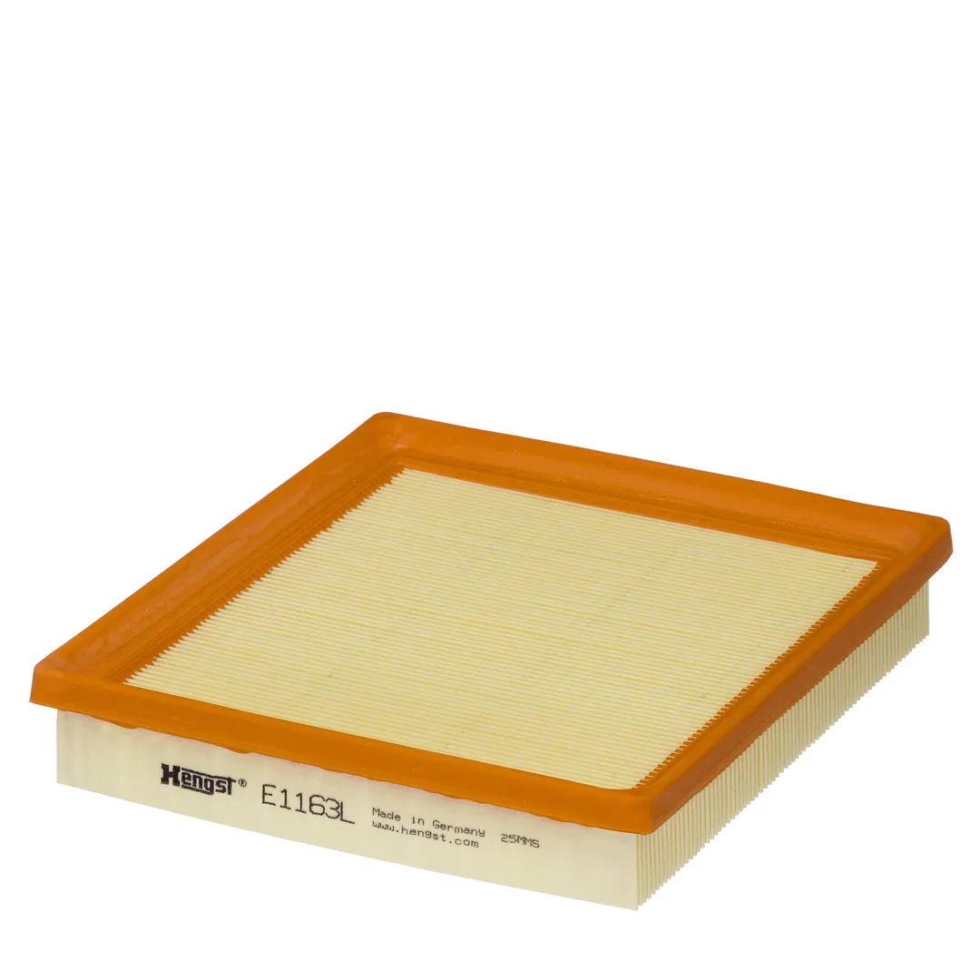 E1163L Hengst
