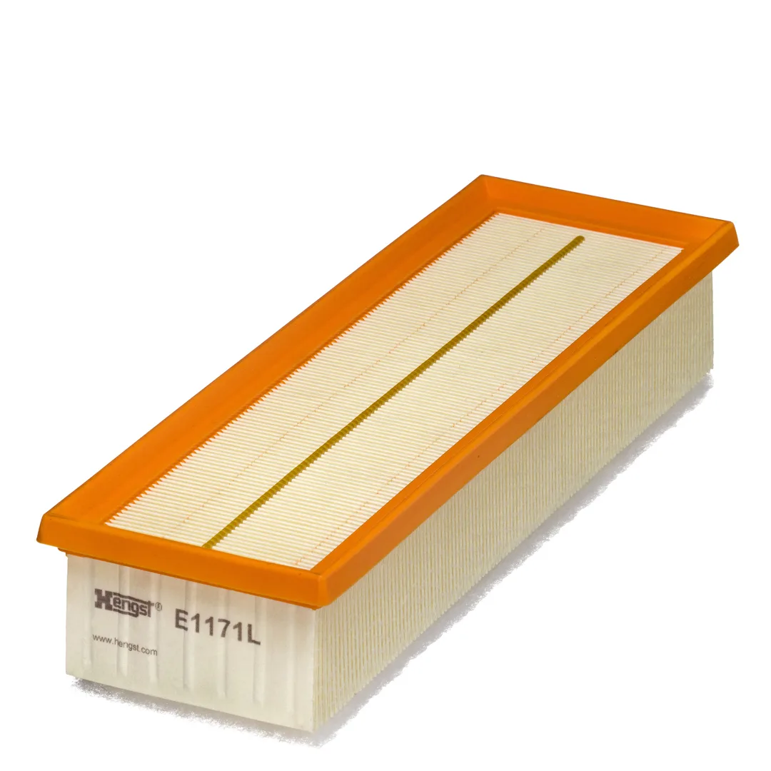 E1171L Hengst
