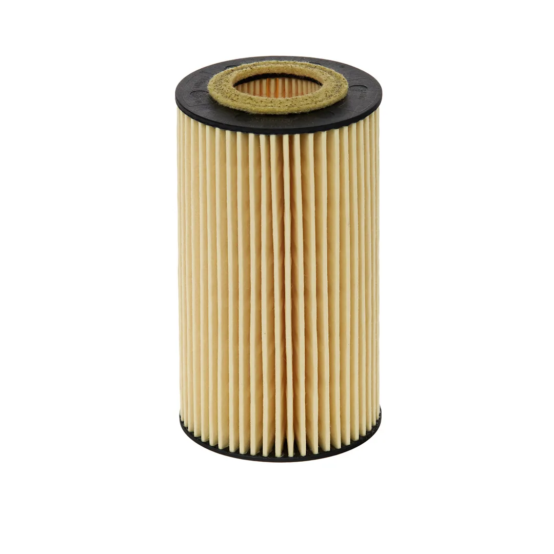 E11HD204 Hengst
