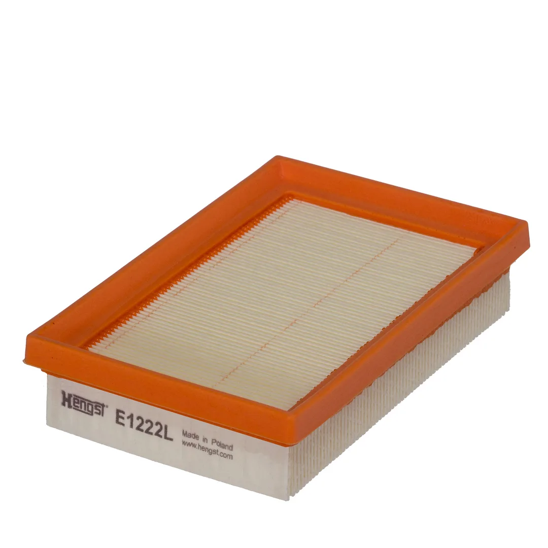 E1222L Hengst