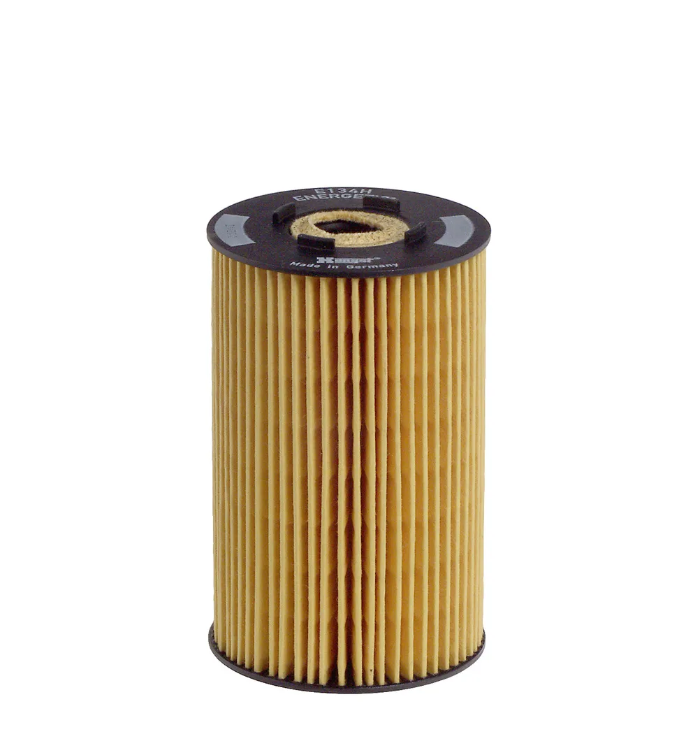 E134HD06 Hengst