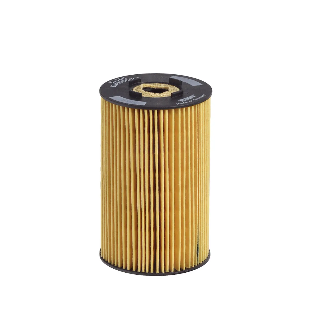 E134HD31 Hengst