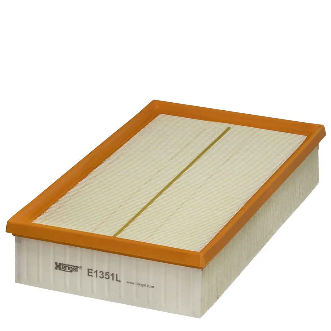 E1351L Hengst