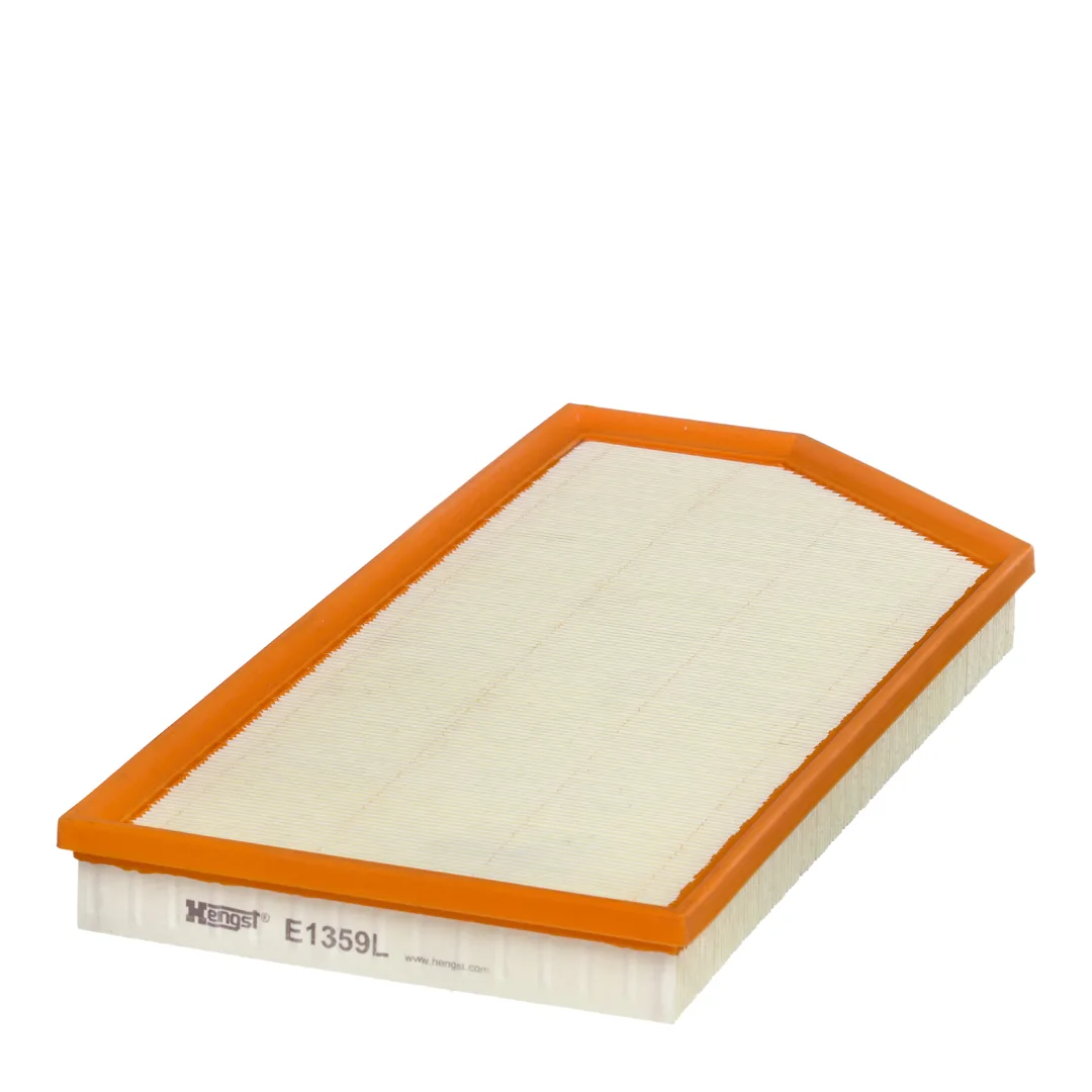E1359L Hengst