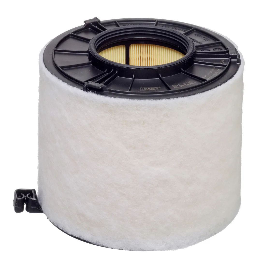 E1453L Hengst