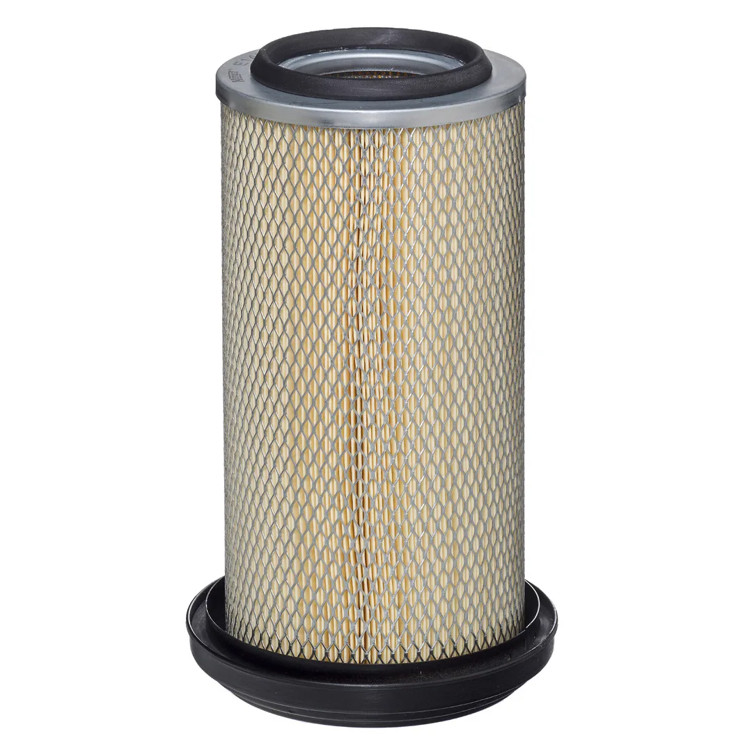E149L Hengst