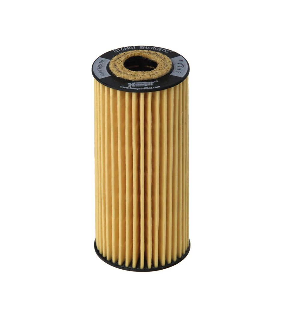 E16H01D51 Hengst