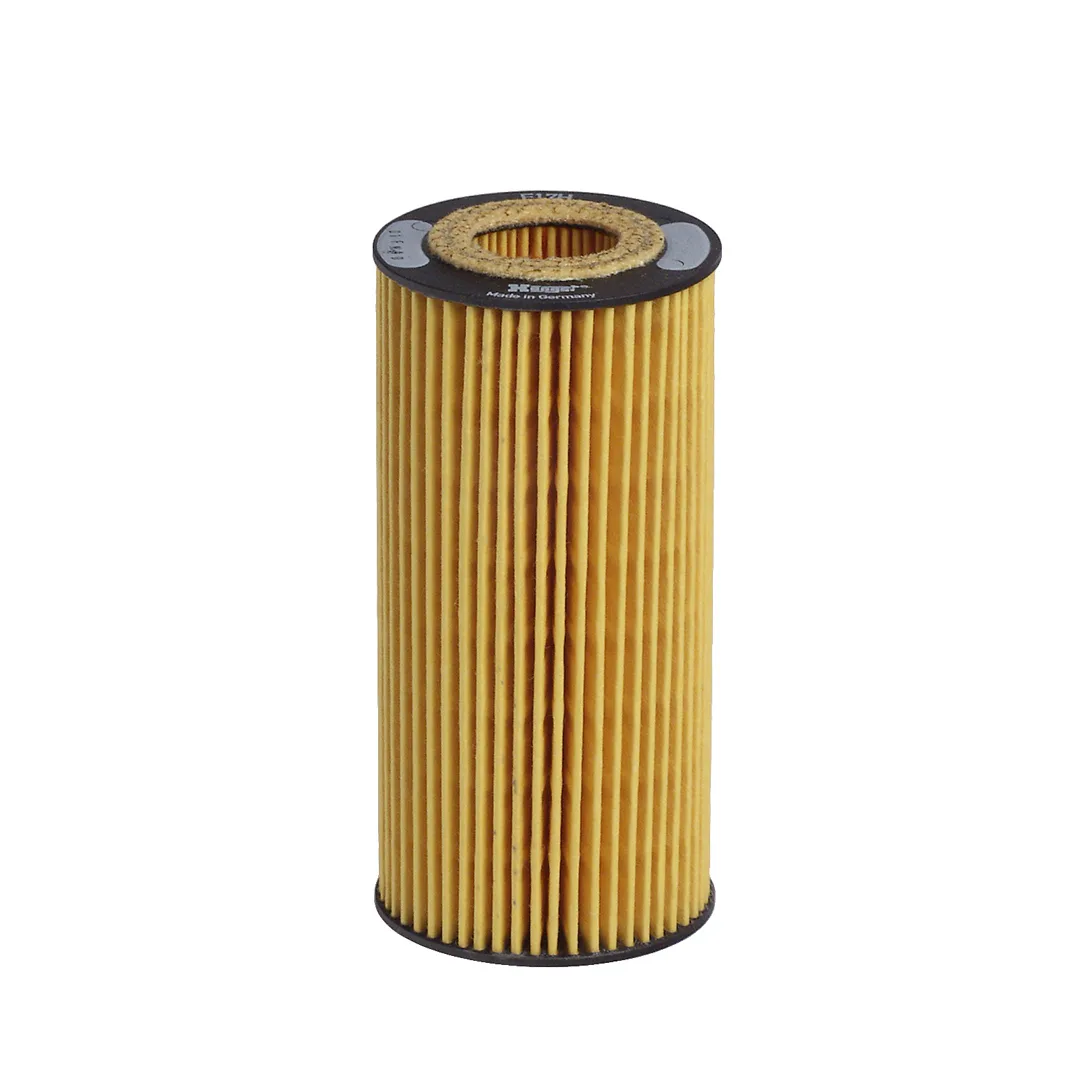 E17HD57 Hengst