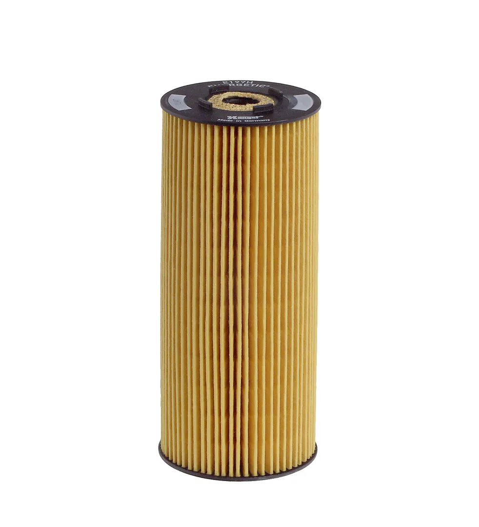 E197HD06 Hengst