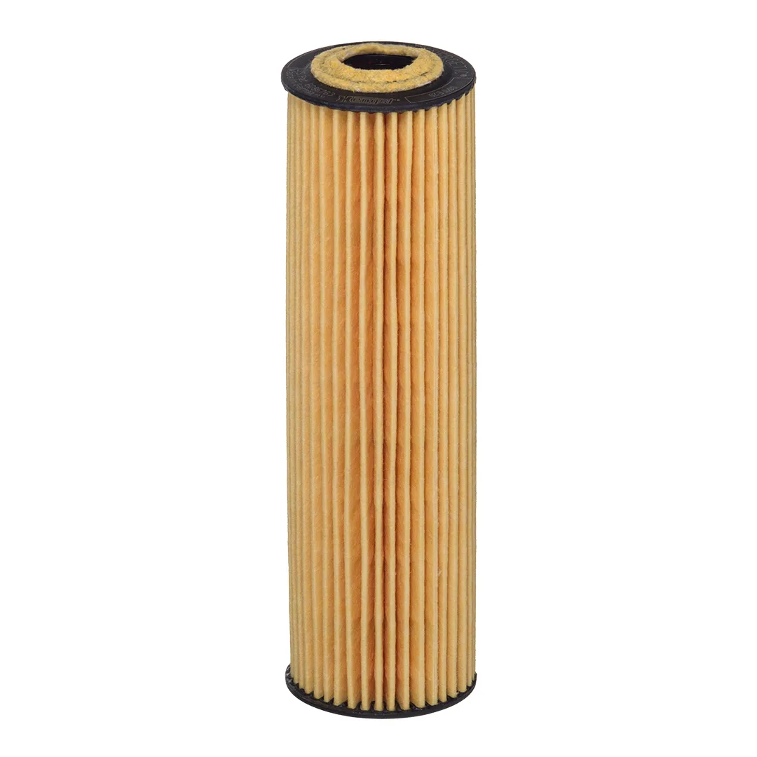 E207HD221 Hengst