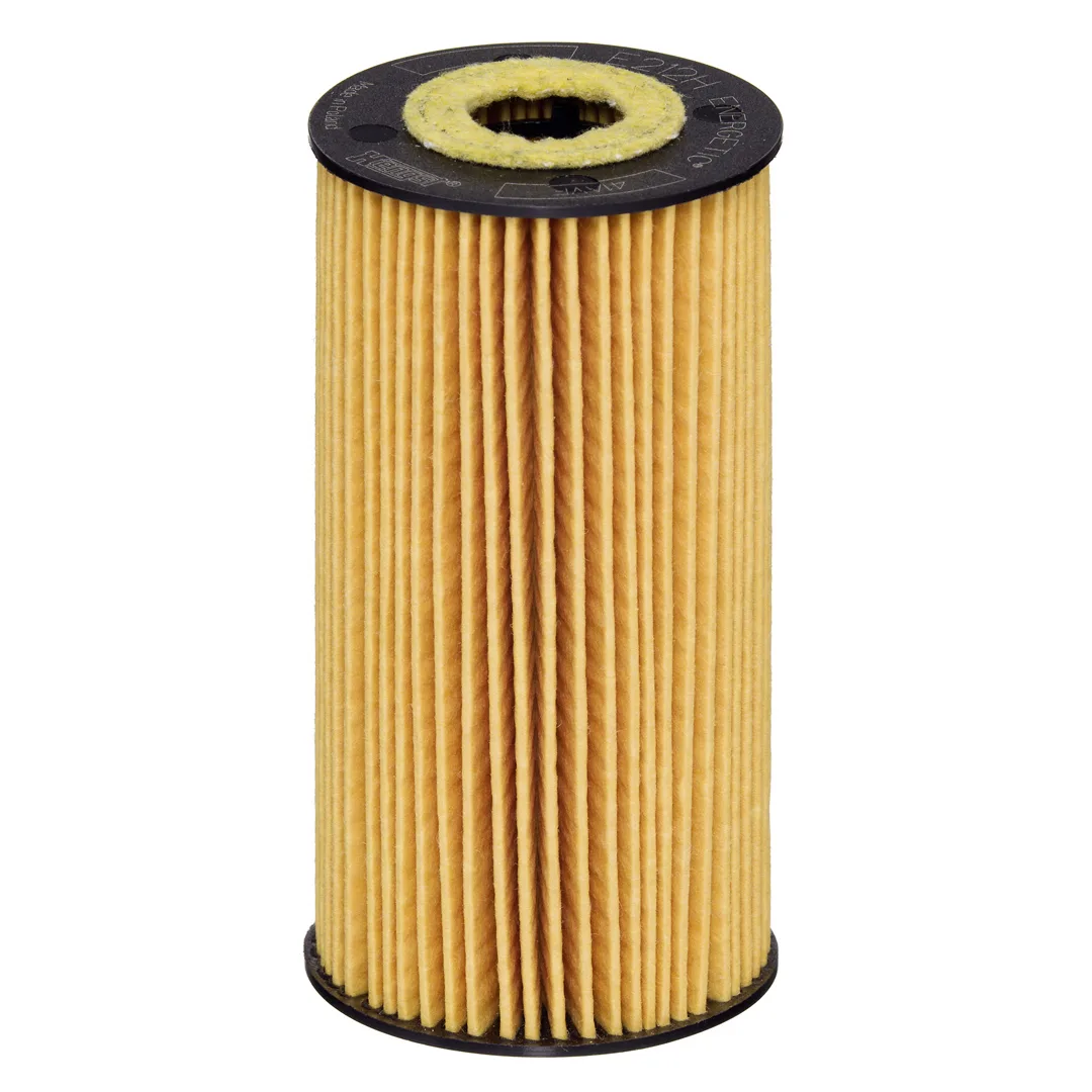 E212HD231 Hengst