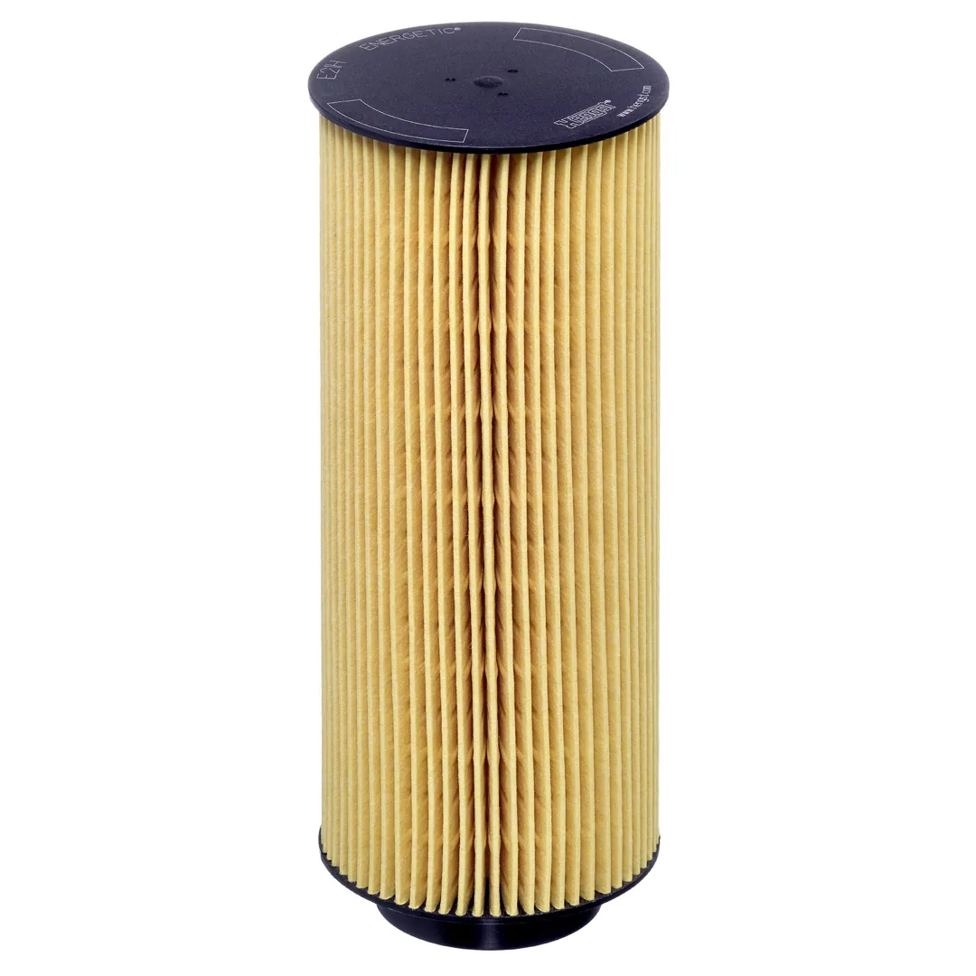 E21HD361 Hengst