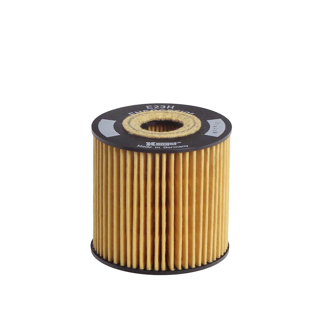 E23HD81 Hengst